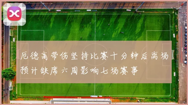 厄德高带伤坚持比赛十分钟后离场预计缺席六周影响七场赛事
